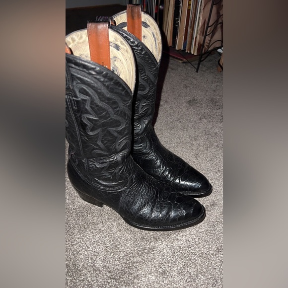 Montana turtles ๐ข๐ข 9.5 D asking 340 - Picture 4 of 10